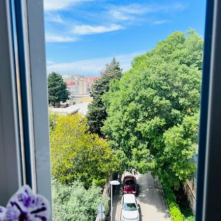 For Special Getaway Rose With Free Parking * بولا